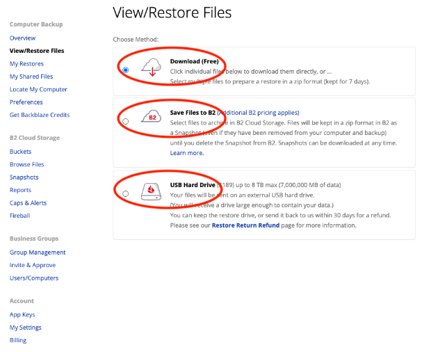 View/Restore Files ページ