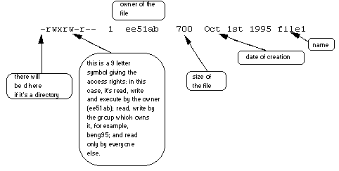 ls コマンド に -l オプションをつけるとファイルの詳細情報が表示される。